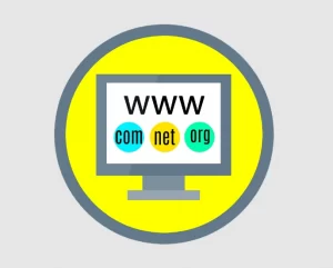 domain org adalah